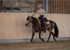 Thalmeier 2015 145
